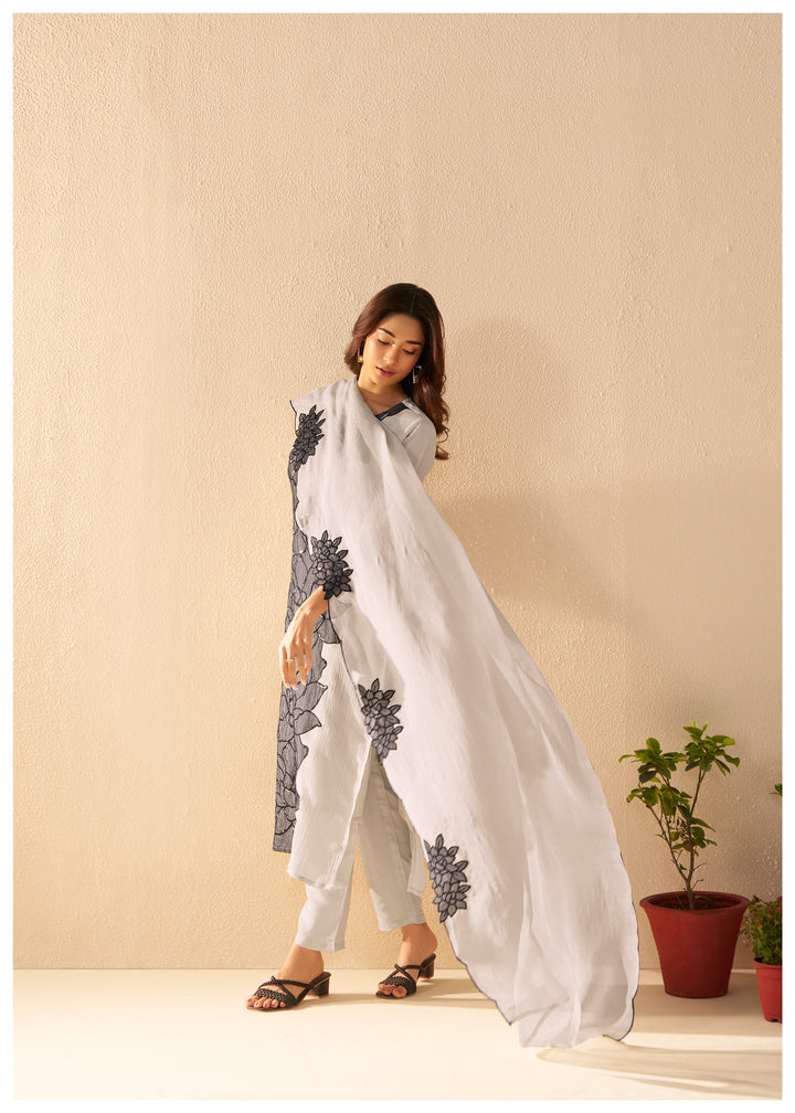 Albeli frost full work suit set