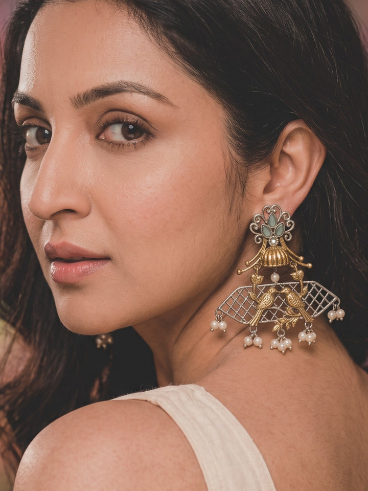 Rajwara Duel tone Oxidised Danglar Earring