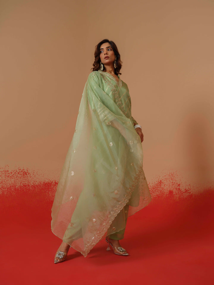 Palash Minty Full Work Suit Set