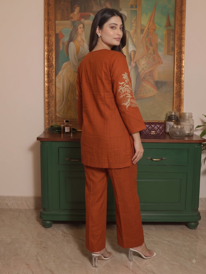 Aksa Rusty Embroidered Work Co-Ord Set