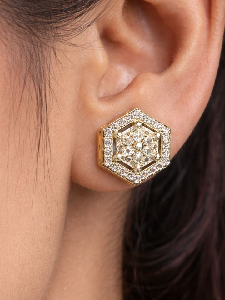 Alankrita Diamond earing & pendant stud