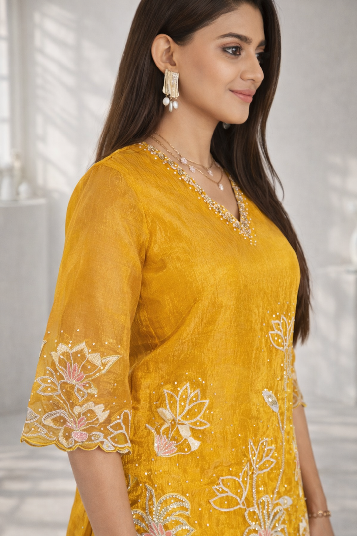 Anumeha Maze full work co-ord set