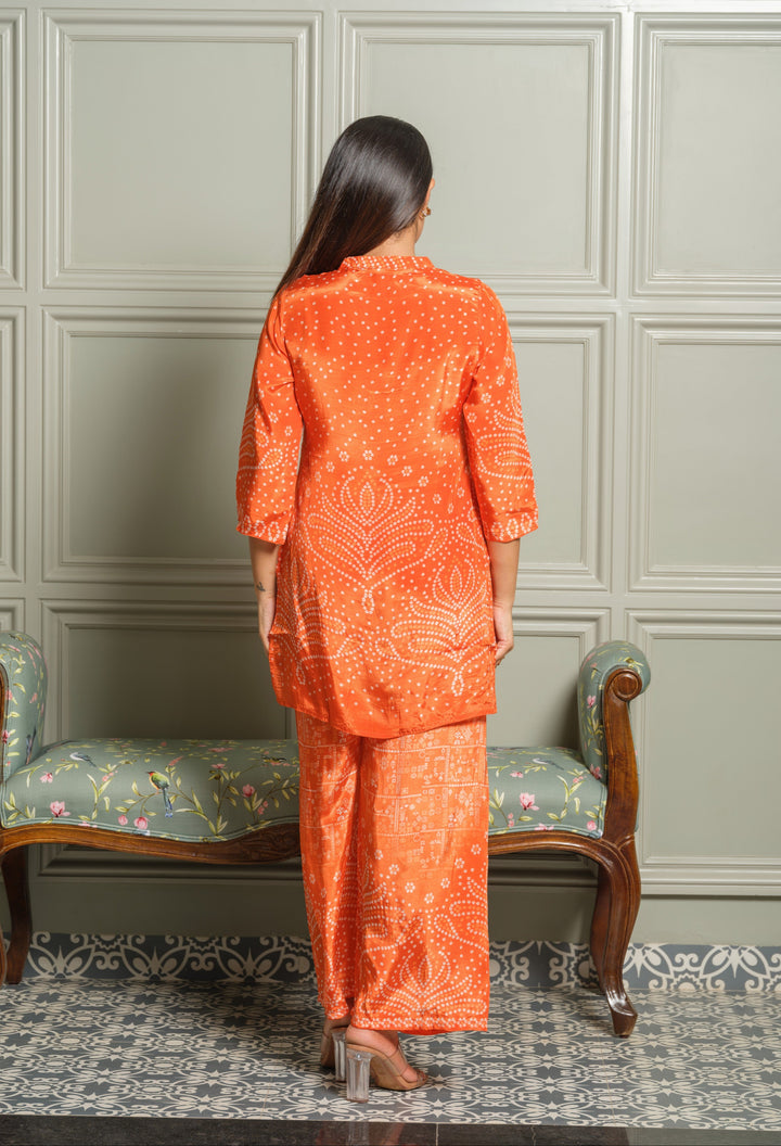 Palash Tango Printed co-ord set