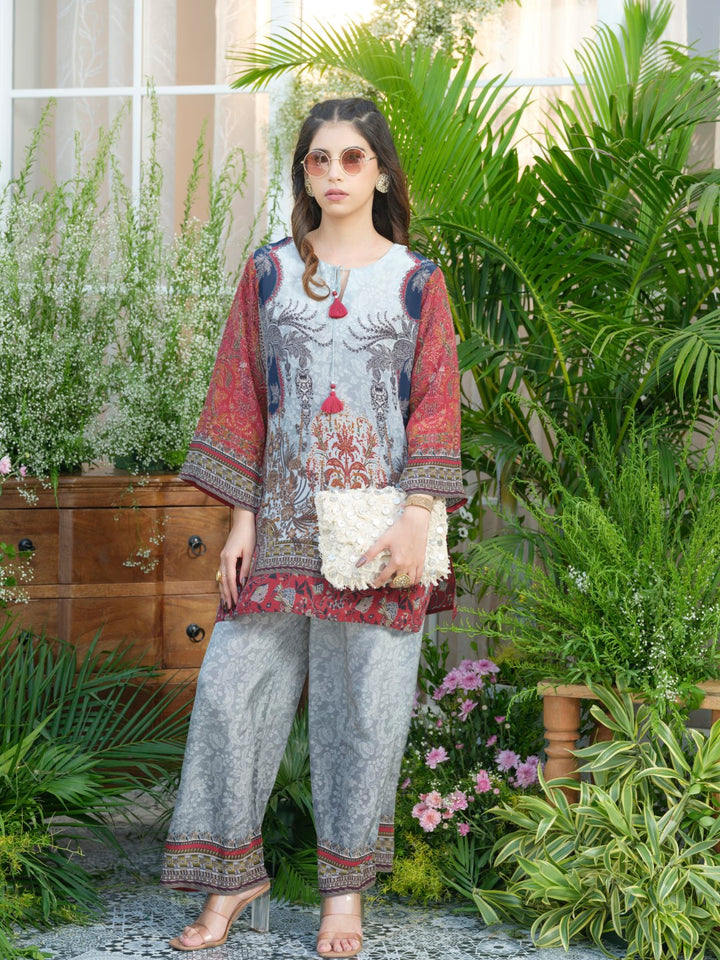 Palash cloud printed Co-ord set