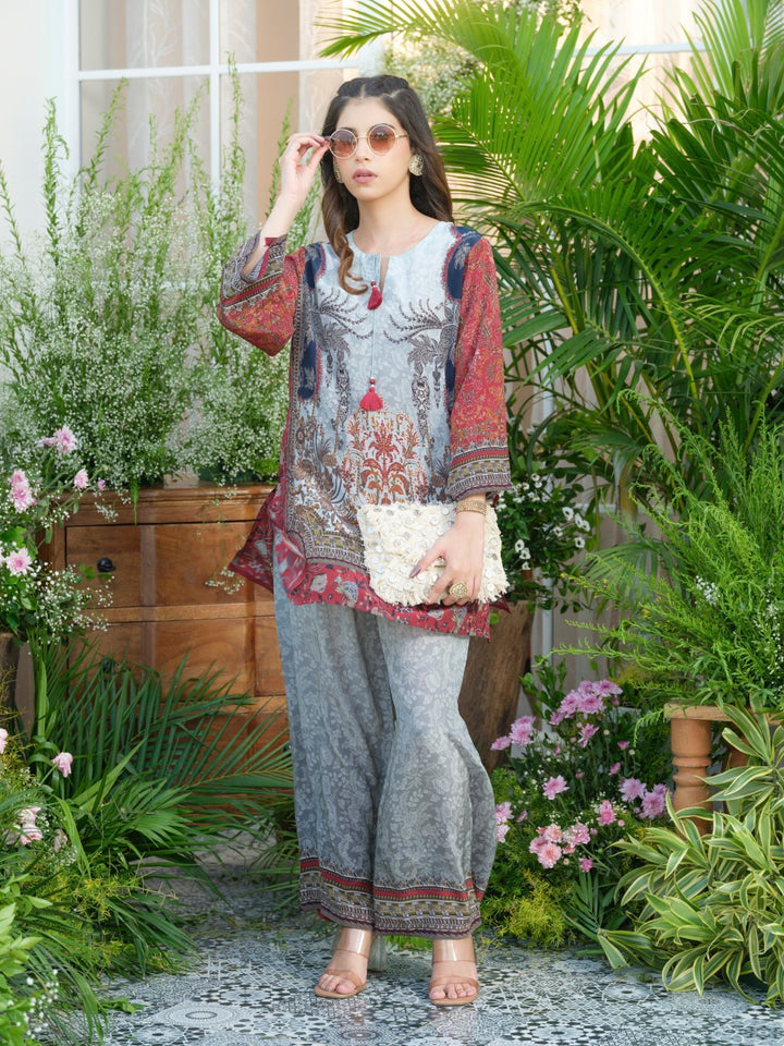 Palash cloud printed Co-ord set