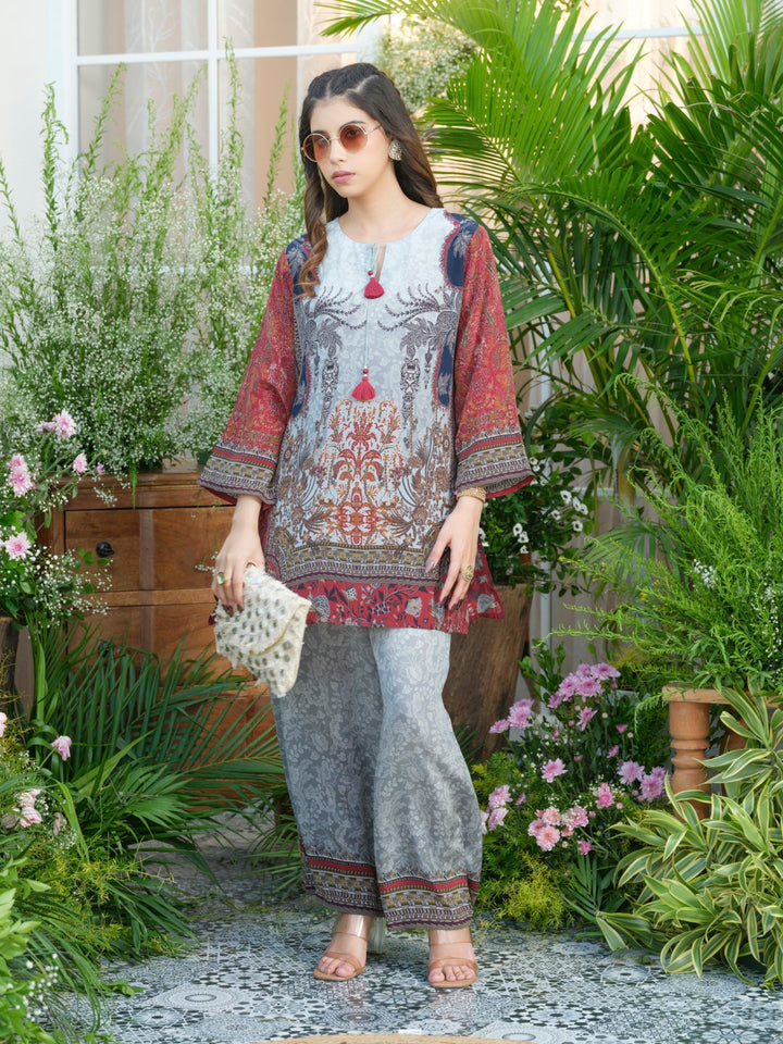 Palash cloud printed Co-ord set