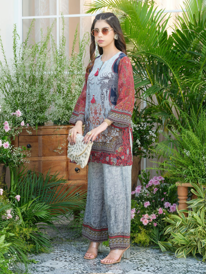 Palash cloud printed Co-ord set