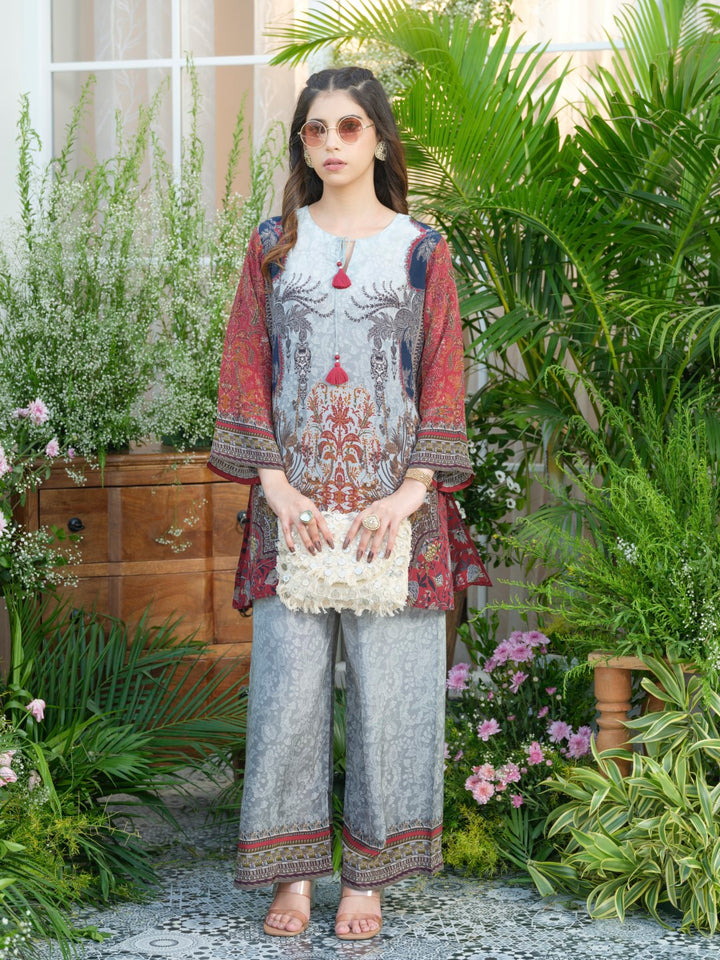 Palash cloud printed Co-ord set