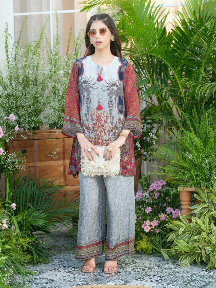 Palash cloud printed Co-ord set