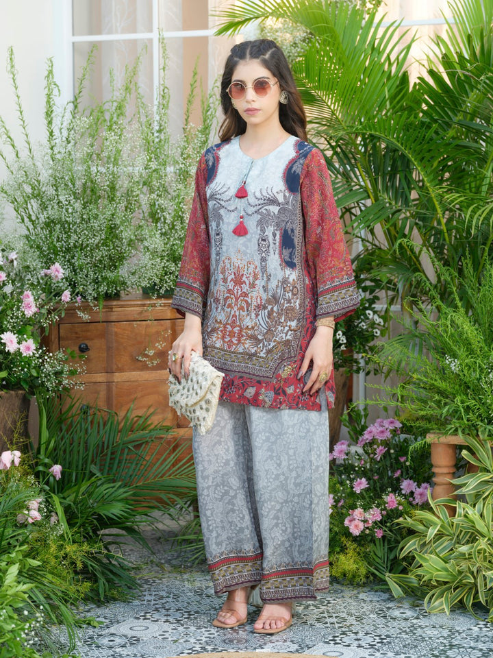 Palash cloud printed Co-ord set