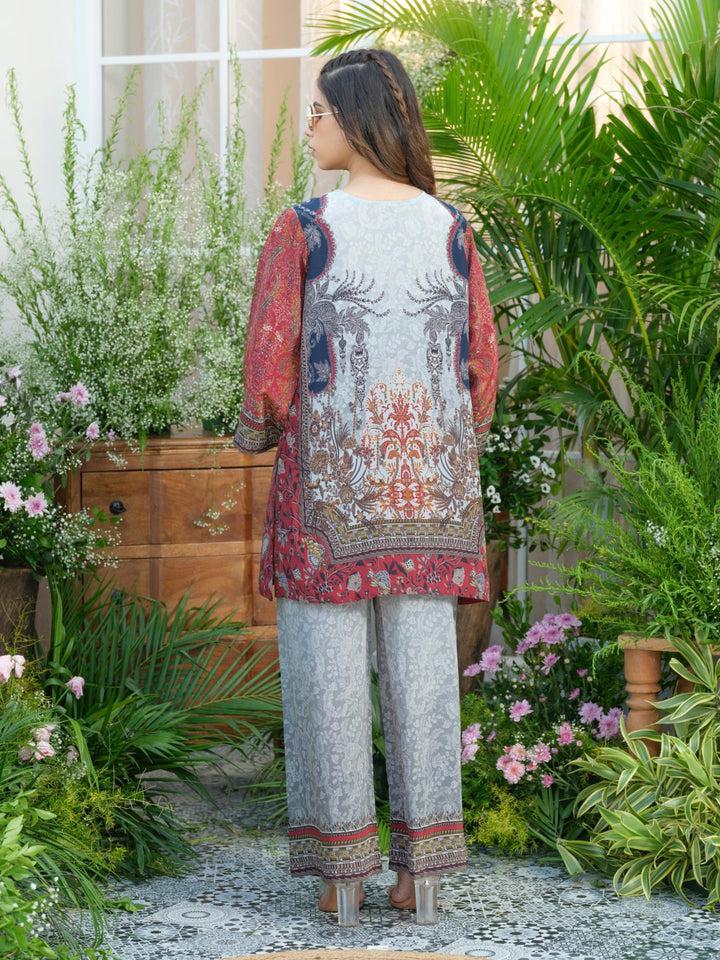 Palash cloud printed Co-ord set