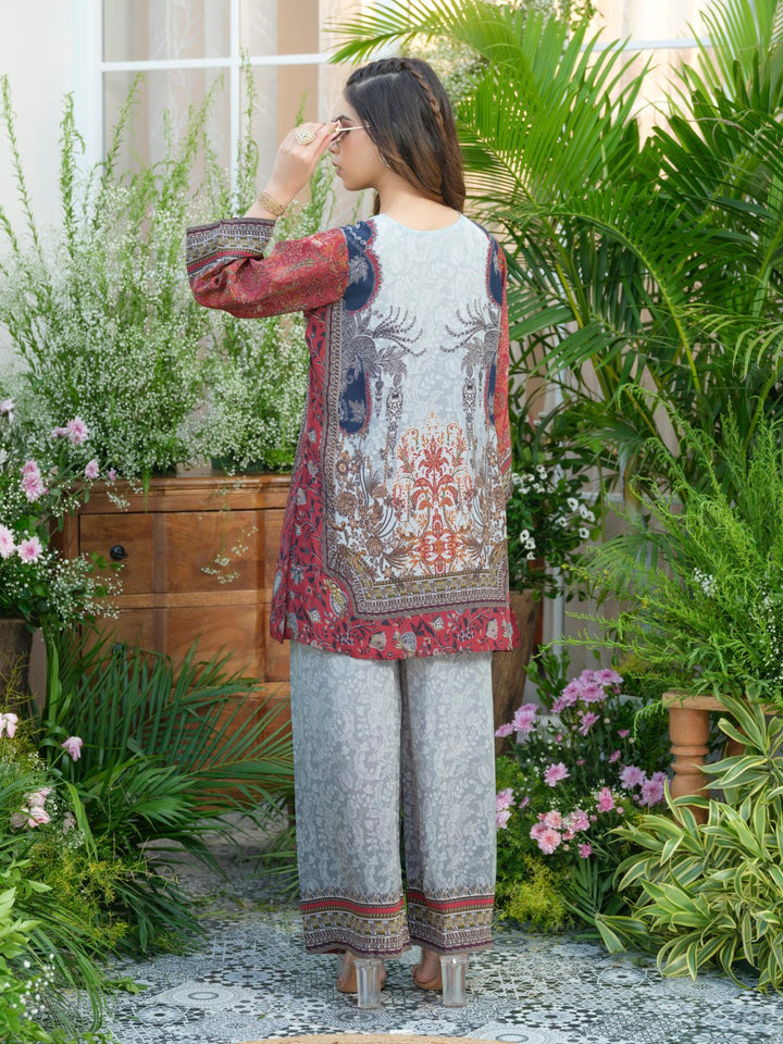 Palash cloud printed Co-ord set