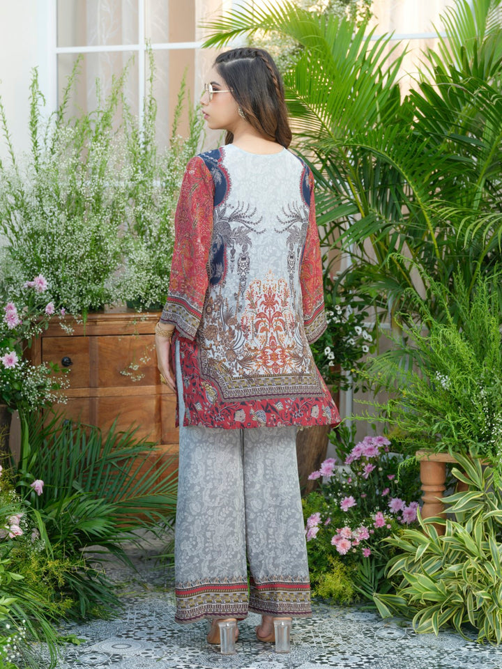 Palash cloud printed Co-ord set