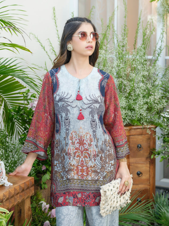 Palash cloud printed Co-ord set