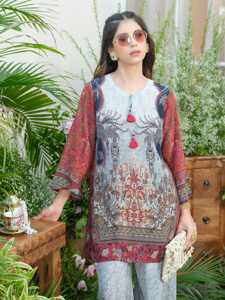 Palash cloud printed Co-ord set