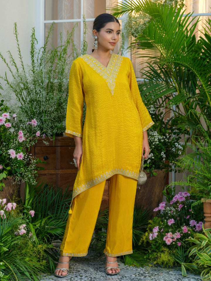 Palash canary work Premium co-ord set S2