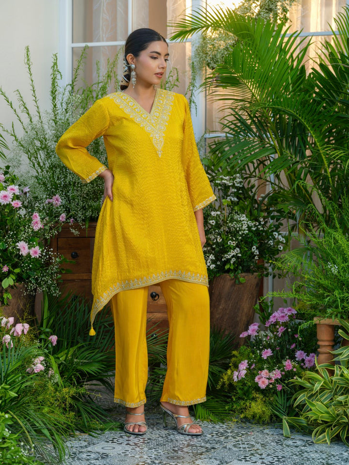 Palash canary work Premium co-ord set S2