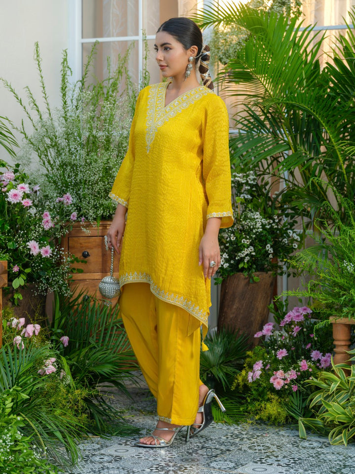 Palash canary work Premium co-ord set S2