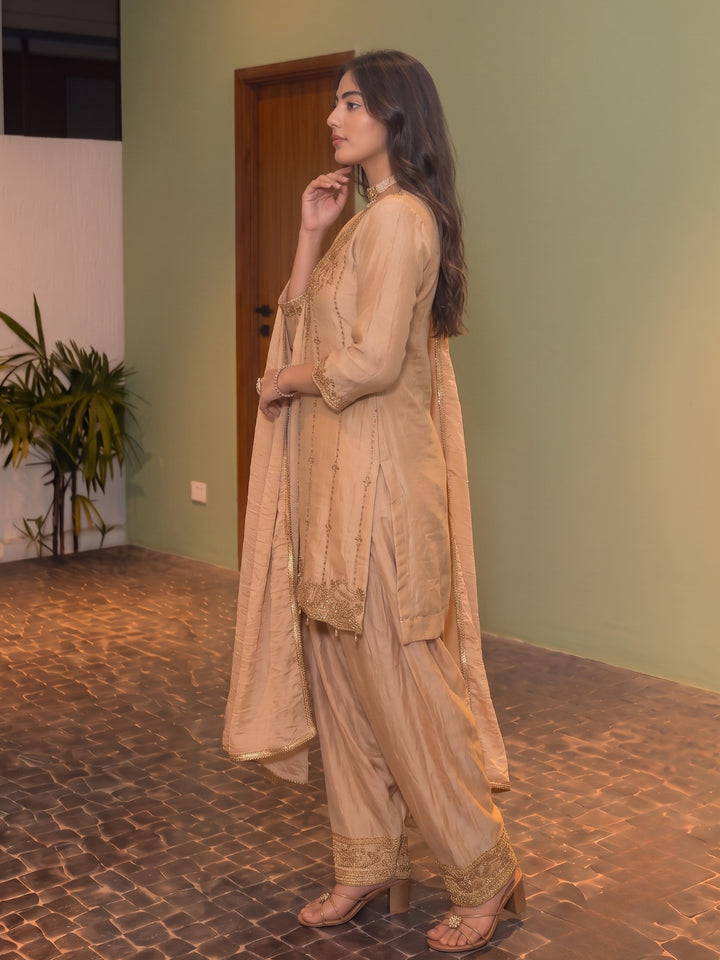 Alpa Chiku Full Work Farshi Suit Set