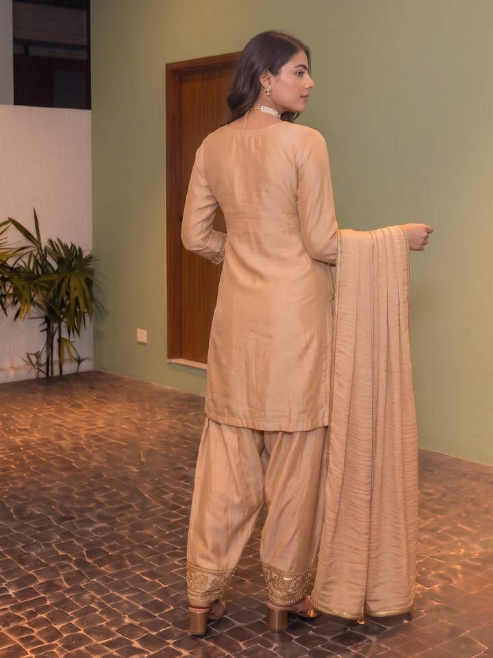 Alpa Chiku Full Work Farshi Suit Set