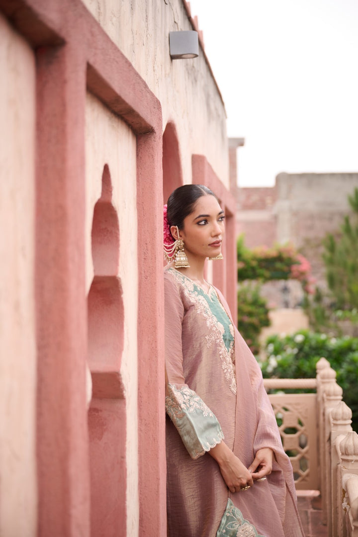 Gaurisha Tan Full Work Premium Suit set