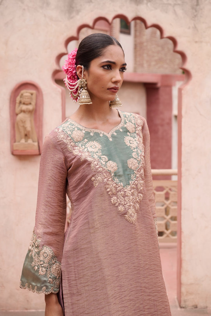 Gaurisha Tan Full Work Premium Suit set