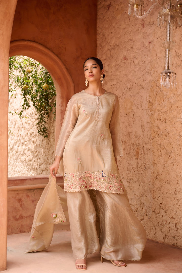 Sangini gold full work premium suit set