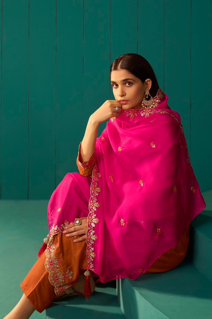 Trisha Saffron work Suit set