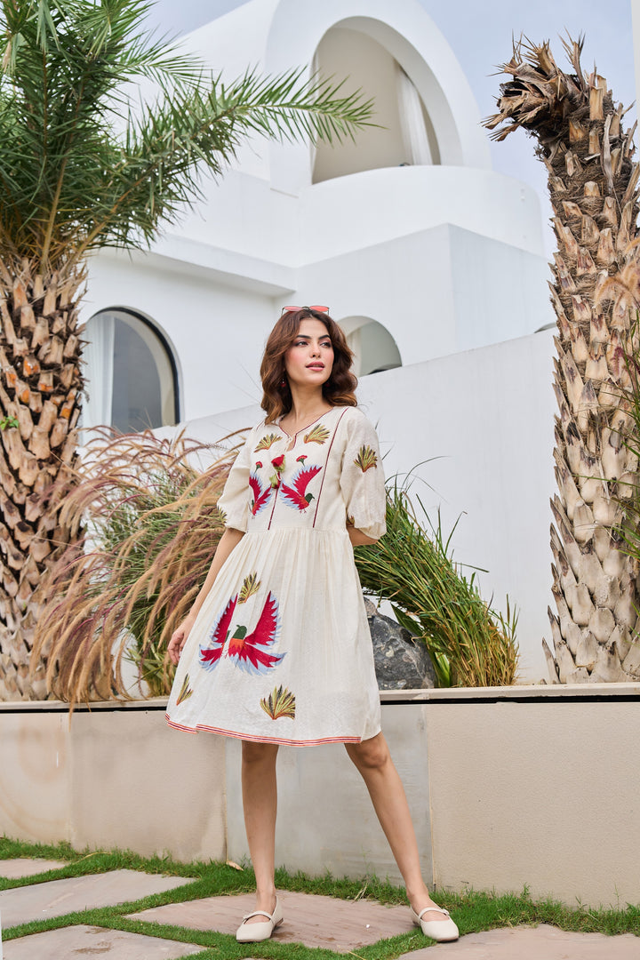 Tiara Frost Embroidery dress