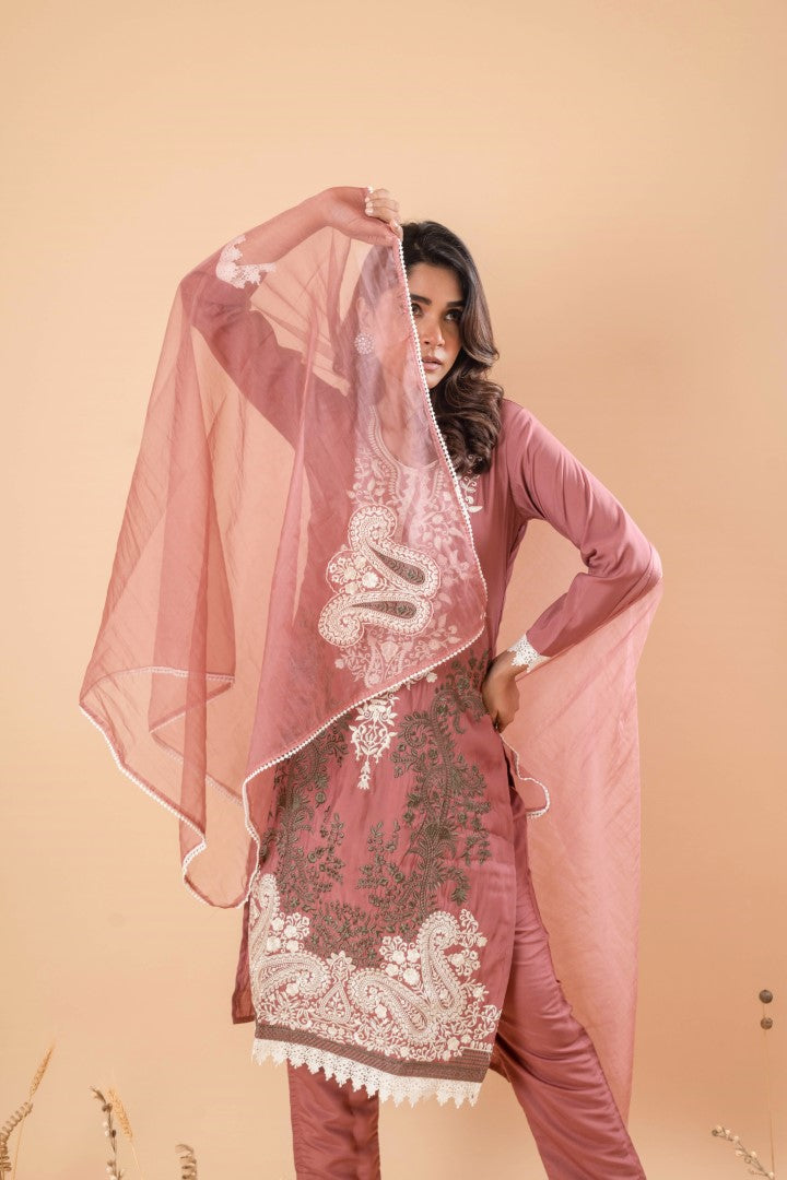 Mudra Raisin Embroidery Pakistani Suit set