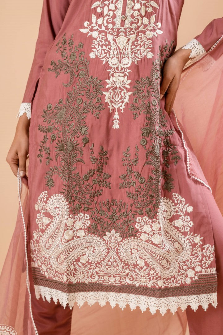Mudra Raisin Embroidery Pakistani Suit set