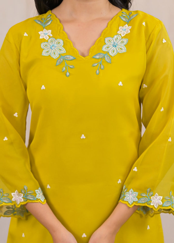 Tanishk Corn Embroidery Co-ord set