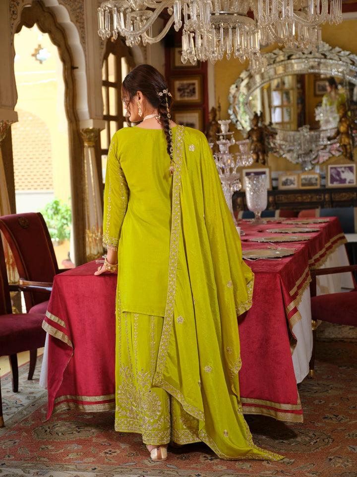 Sambhav fern full work sharara suit set