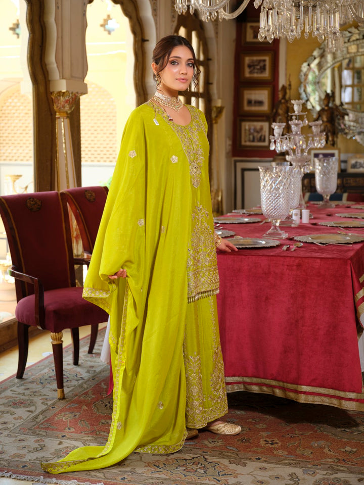 Sambhav fern full work sharara suit set