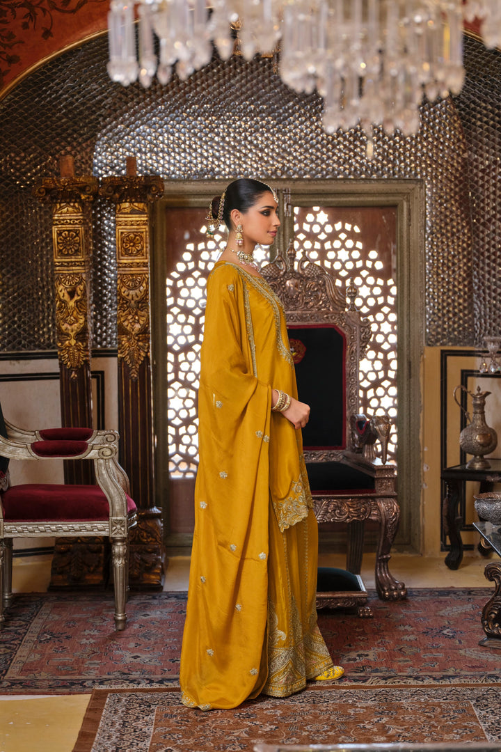 Gunja Amber Full Work Heavy Gharara Set