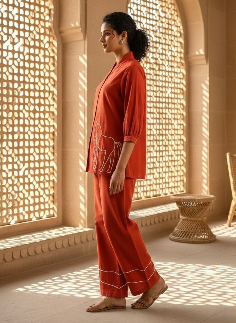 Sargi tangerine embroidery co-ord set