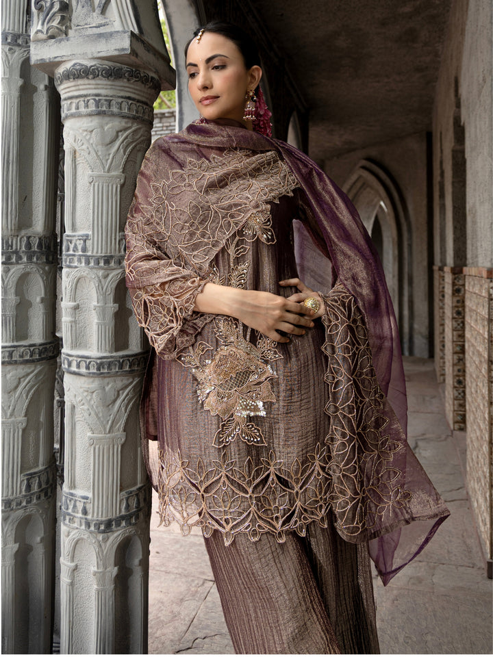 Pavni Iris Full Work Festive Suit Set