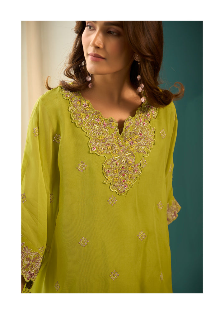 Aster Fern Premium fusion wear Co-ord set