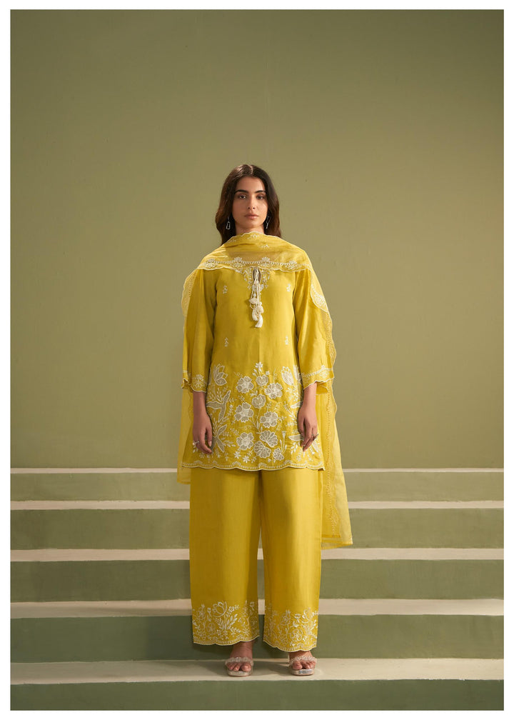 Ira honey full embroidery suit set