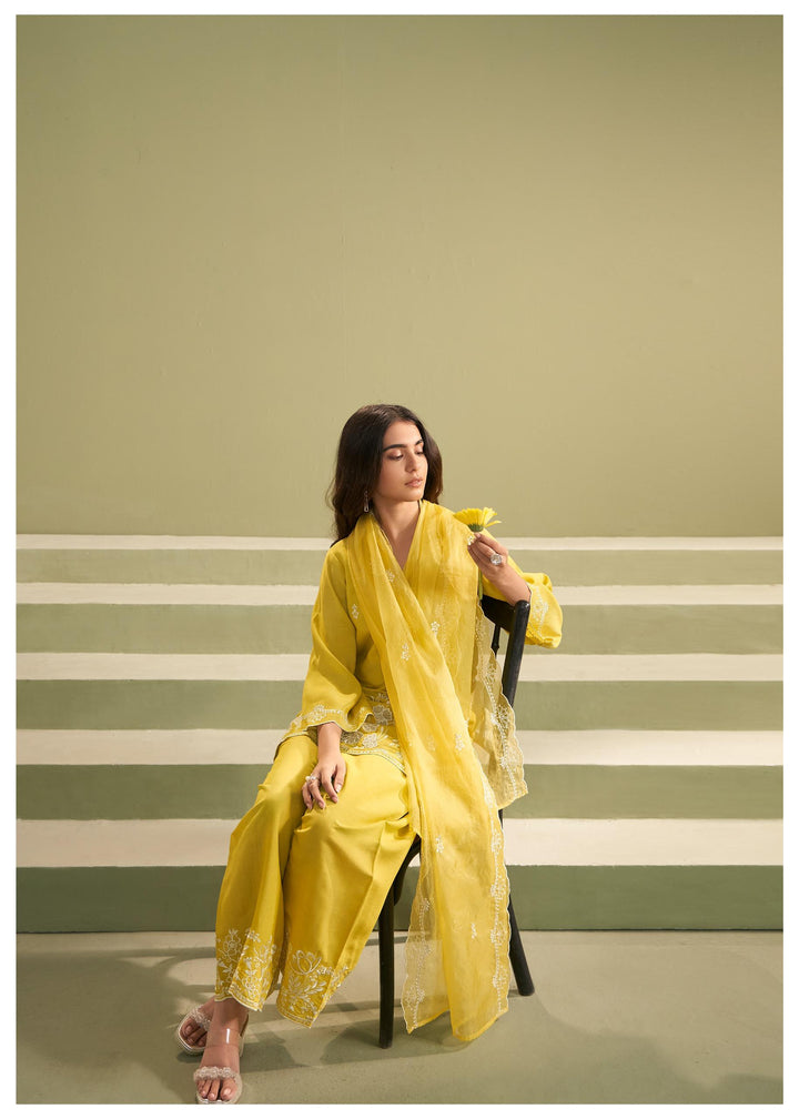 Ira honey full embroidery suit set