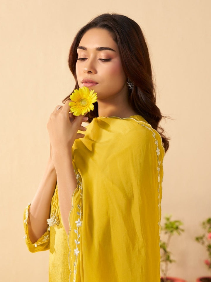 Albeli Maize Embroidery Premium Suit Set