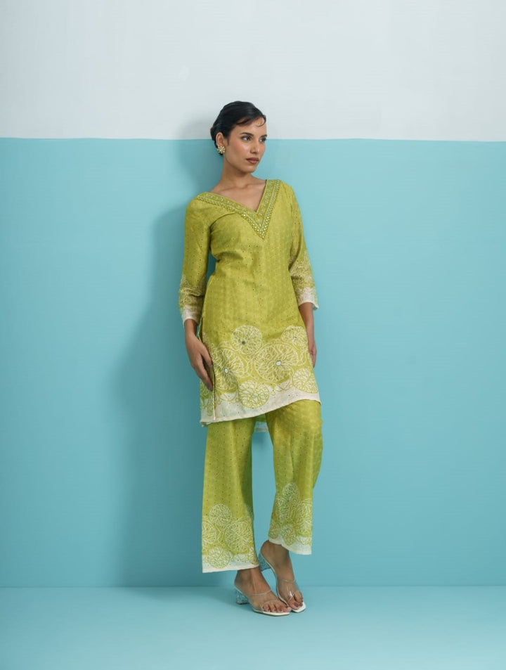 Parikrama Kelly Schiffili Printed Co-ord Set