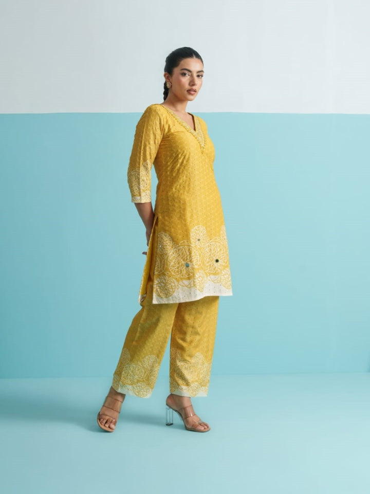 Parikrama Canary Schiffili Printed Co-ord Set