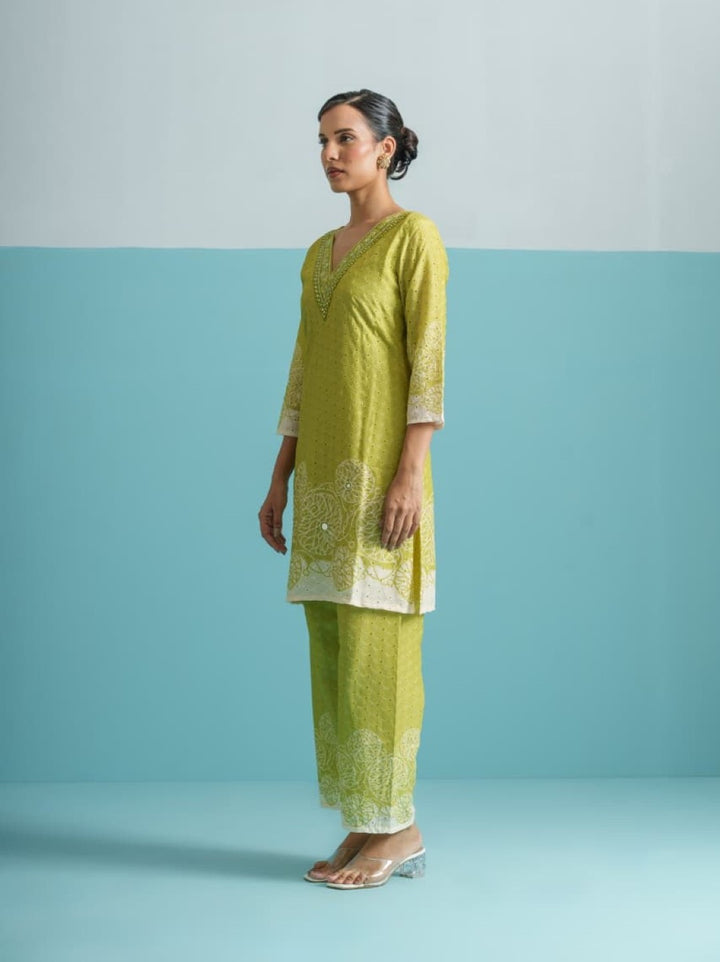 Parikrama Kelly Schiffili Printed Co-ord Set