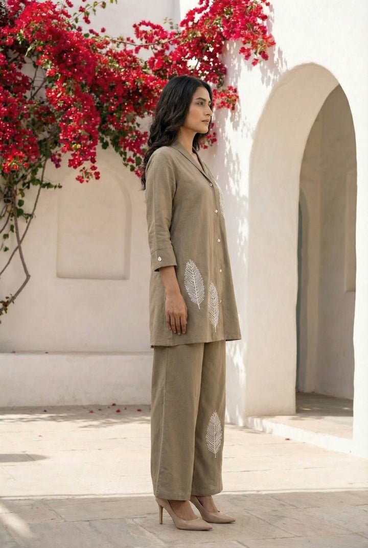 Sargi tan embroidery cotton co-ord set