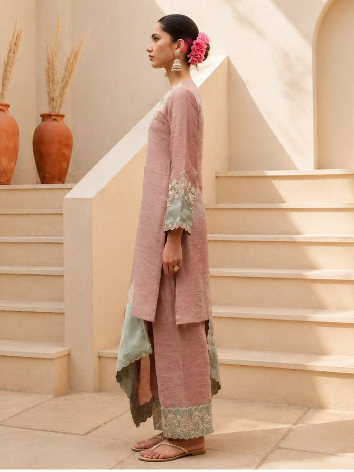 Gaurisha Tan Full Work Premium Suit set